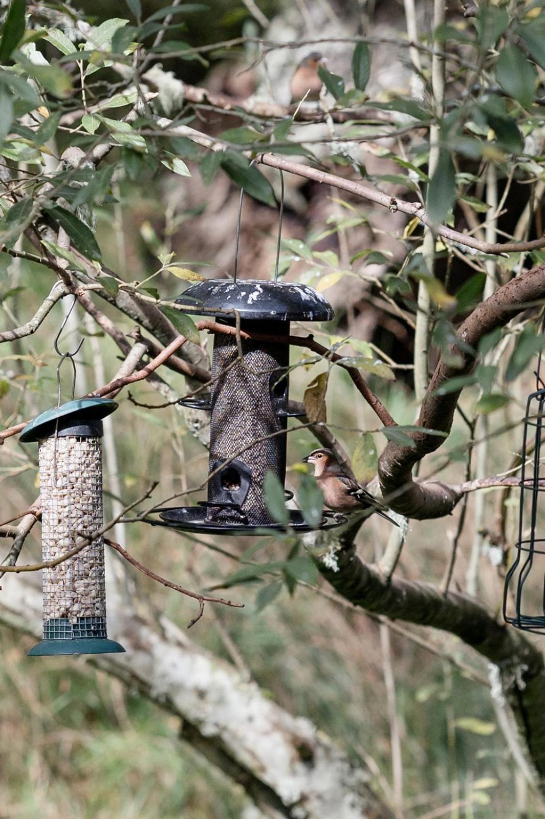 Siskin Guest Suite Kinrara エクステリア 写真